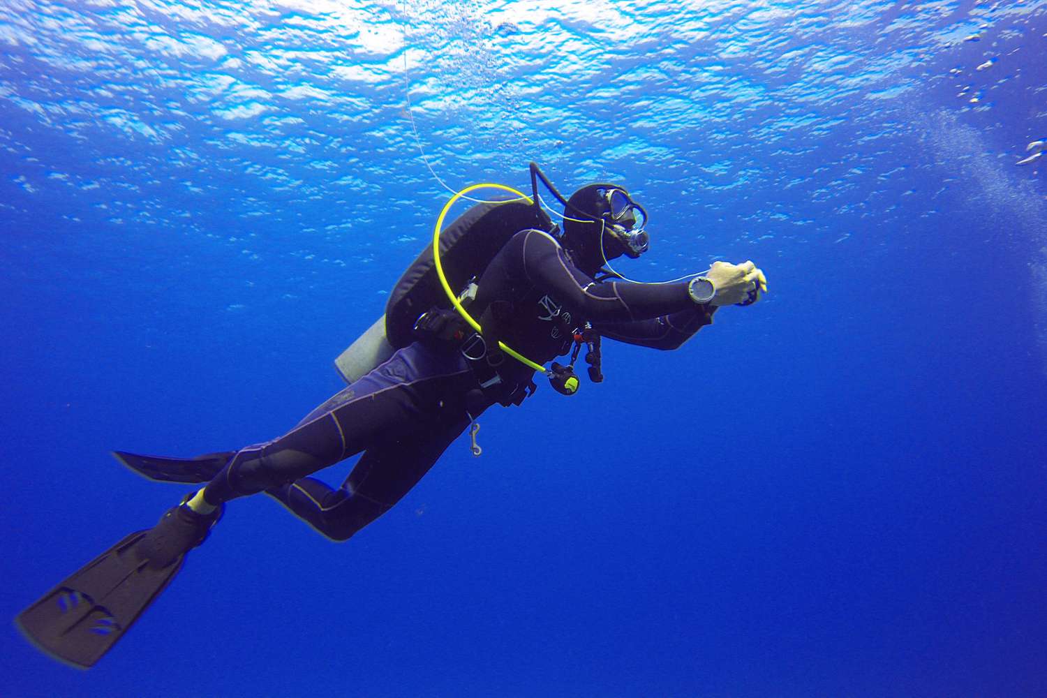 Everything About Scuba Diving